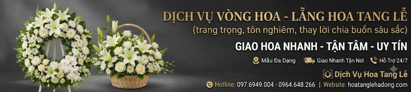 TLT Việt Nam